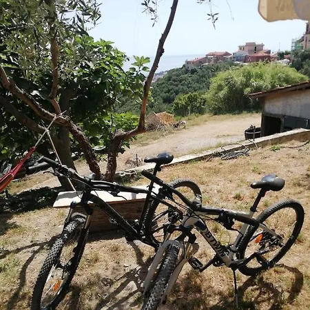 B&B B&B Villa Caterina *